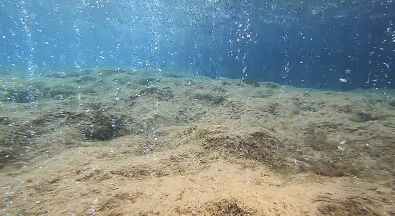 Presa Diretta anticipazioni e argomenti puntata di oggi 12 ottobre
